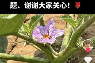 名记：字母哥不满布登没让自己去防巴特勒 雄鹿本打算请纳斯